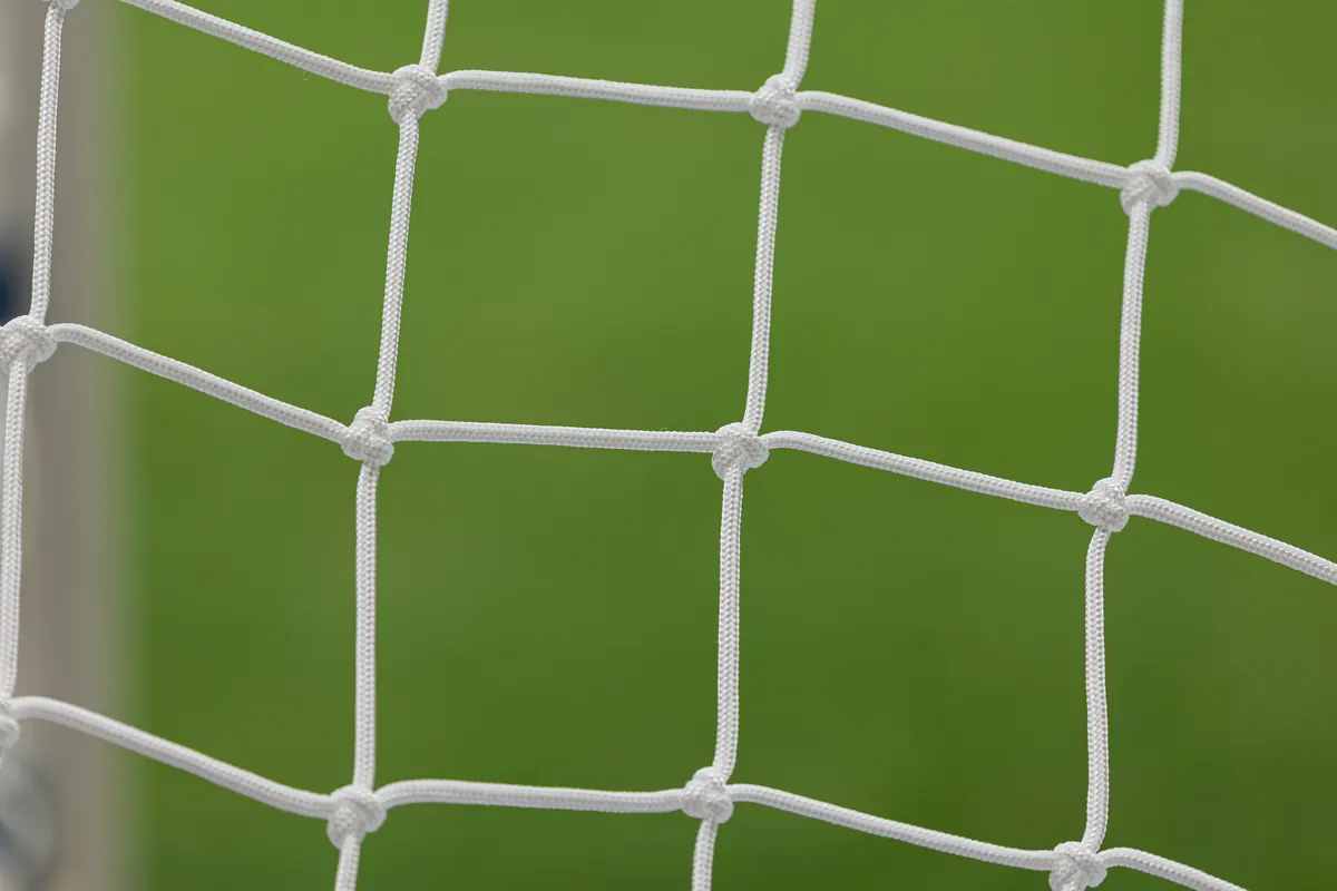 Detail of the goal net